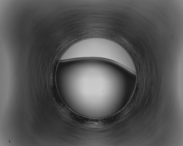 X0000086730552200704130748