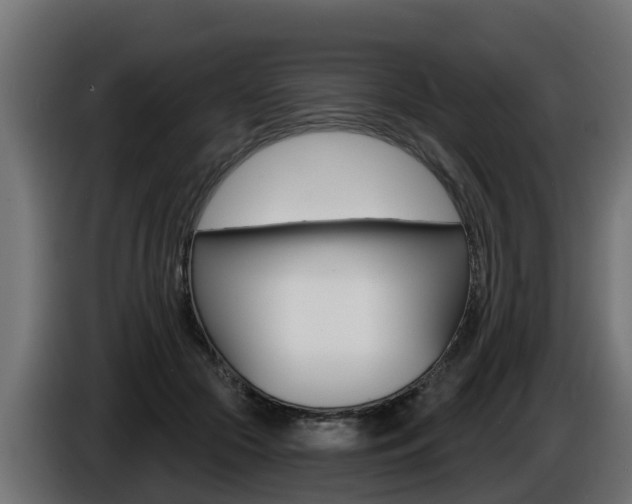 X0000086730553200704130748