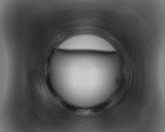 X0000086730554200704130748