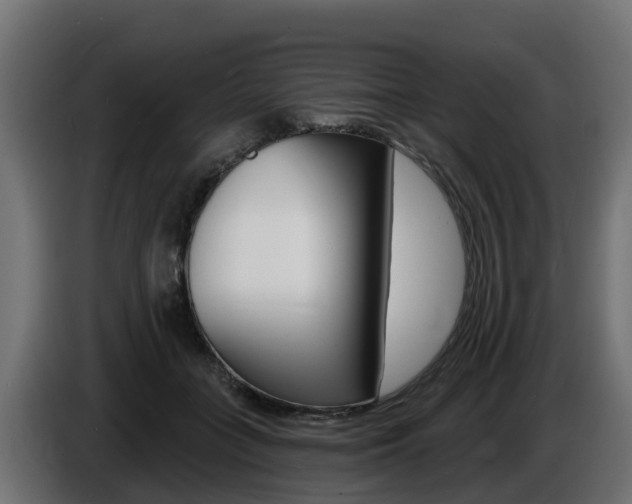 X0000086730555200704130748
