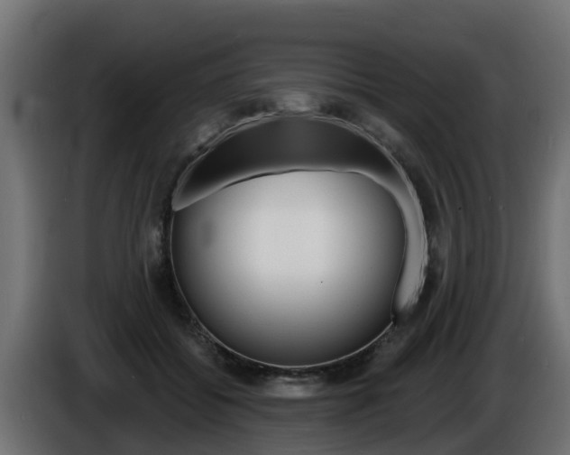 X0000086730556200704130748
