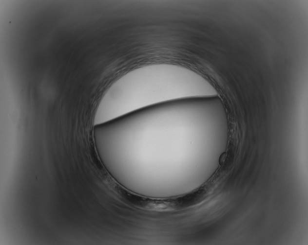 X0000086730557200704130748