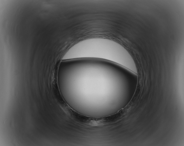 X0000086730560200704130748