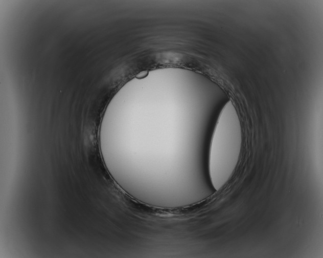X0000086730561200704130748