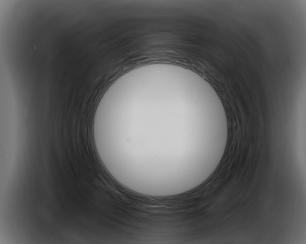 X0000086730562200704130748