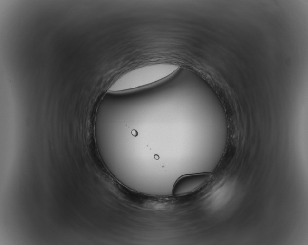 X0000086730563200704130748