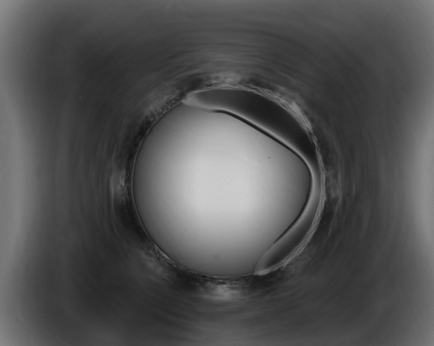 X0000086730564200704130748