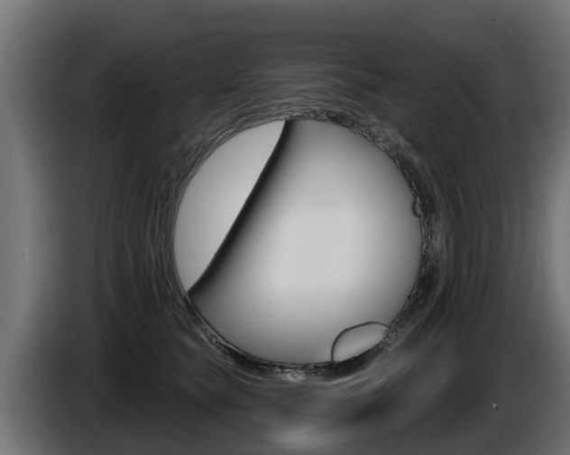 X0000086730565200704130748