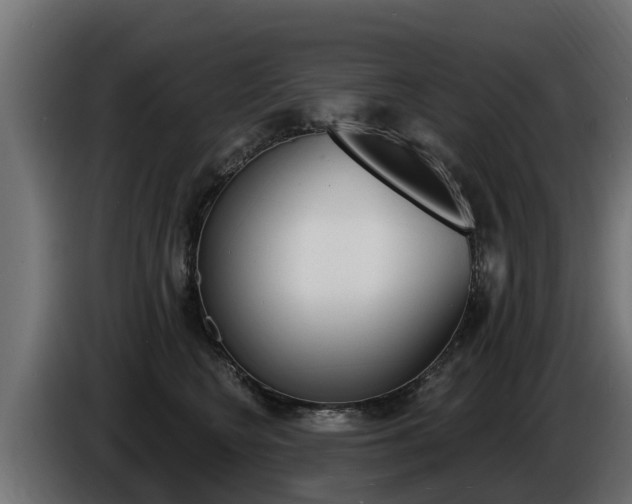 X0000086730566200704130748