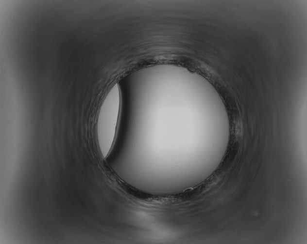 X0000086730567200704130748