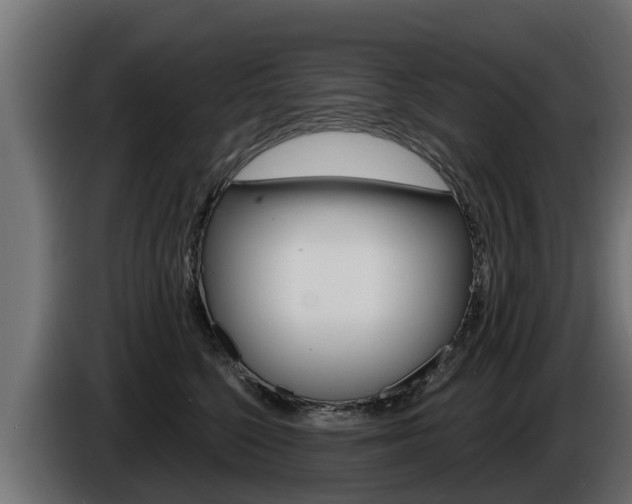X0000086730568200704130748