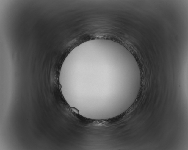 X0000086730569200704130748