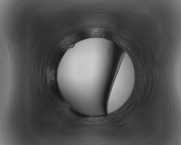 X0000086730571200704130748