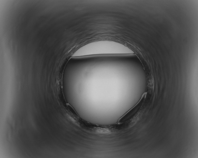 X0000086730572200704130748