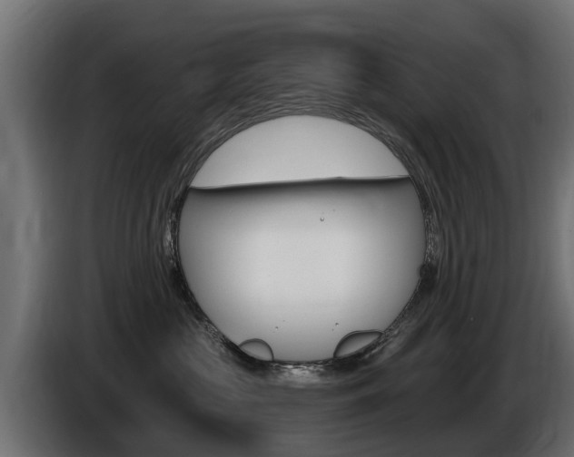 X0000086730573200704130748