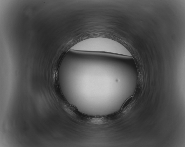 X0000086730574200704130748