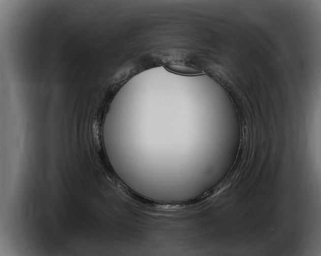 X0000086730575200704130749