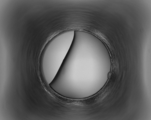 X0000086730578200704130748