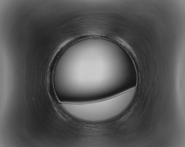X0000086730580200704130748
