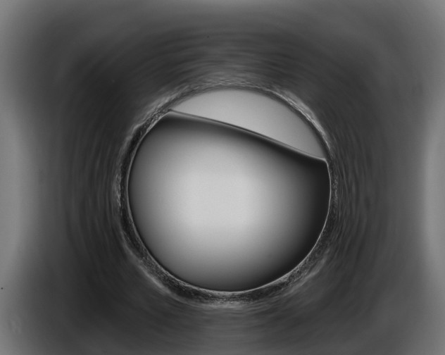 X0000086730581200704130748