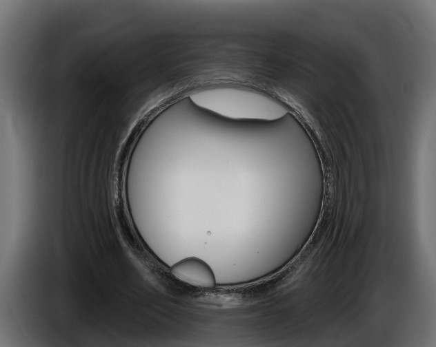 X0000086730582200704130748