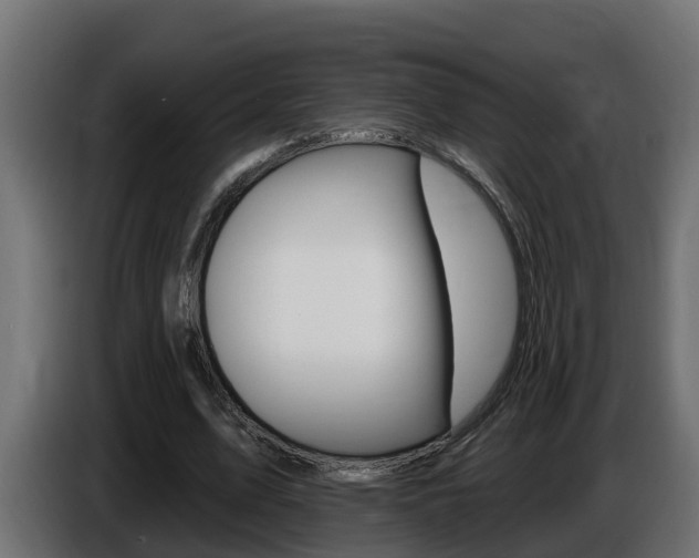 X0000086730583200704130748
