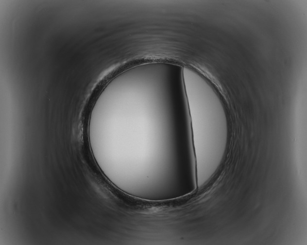 X0000086730584200704130748