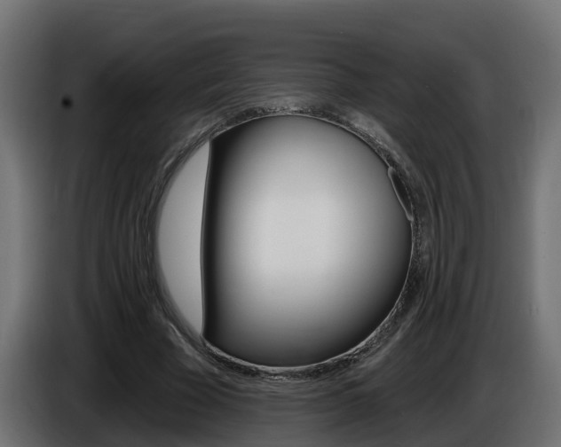 X0000086730585200704130748