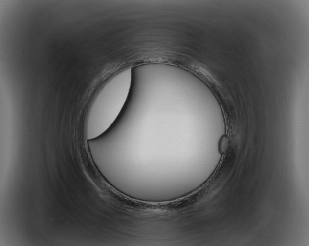 X0000086730586200704130748