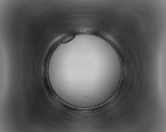 X0000086730587200704130748