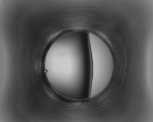 X0000086730588200704130748