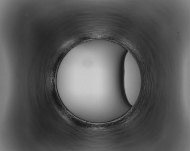 X0000086730590200704130748