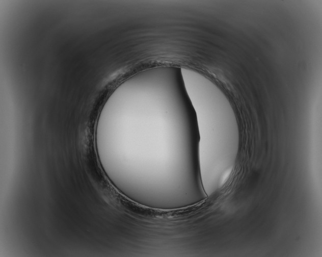 X0000086730591200704130748
