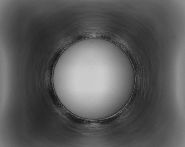 X0000086730594200704130748