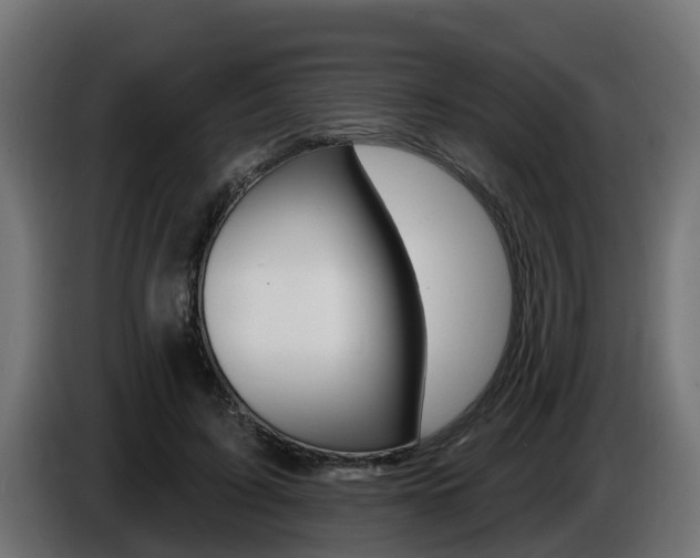 X0000086730595200704130748