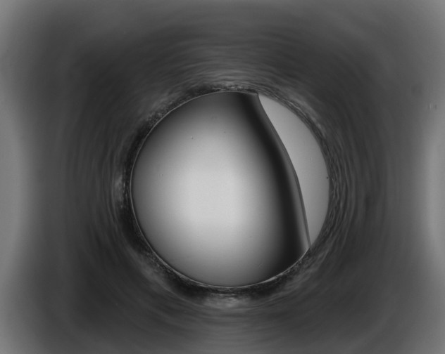 X0000086730597200704130748