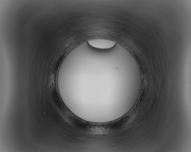 X0000086730598200704130748