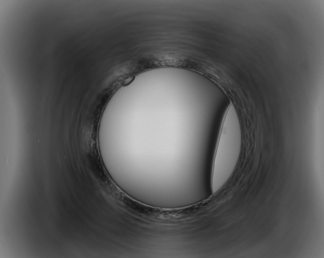 X0000086730599200704130748