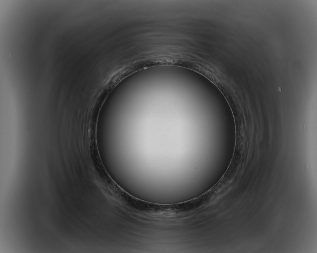 X0000086730600200704130748