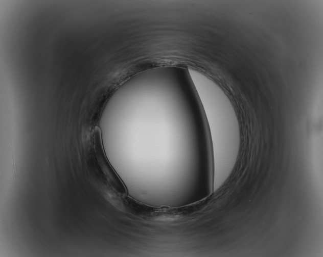 X0000086730601200704130748
