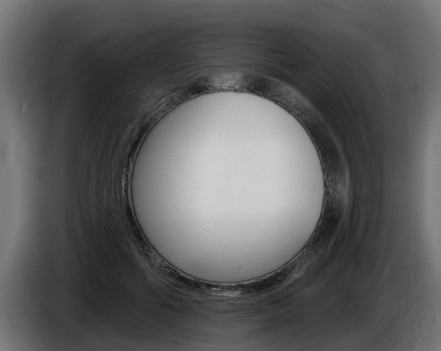 X0000086730602200704130748