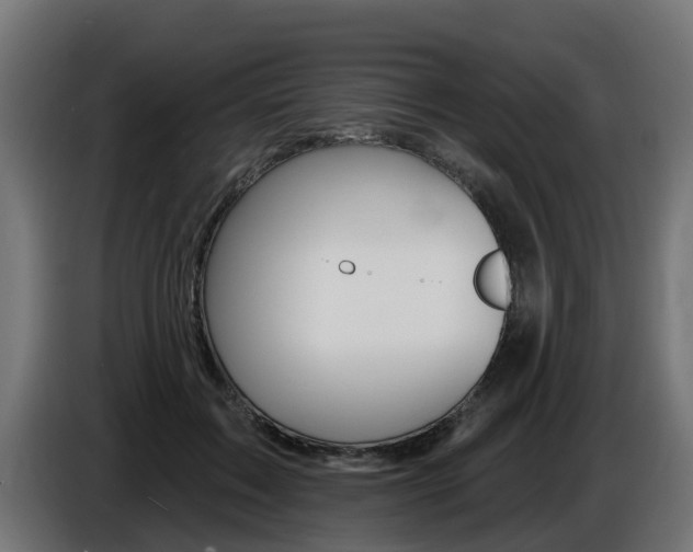 X0000086730603200704130748
