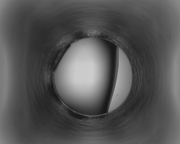 X0000086730604200704130748