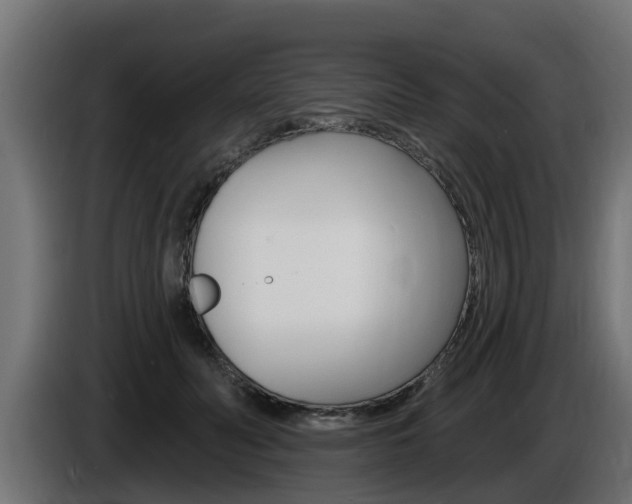 X0000086730606200704130748