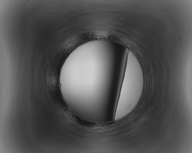 X0000086730608200704130748