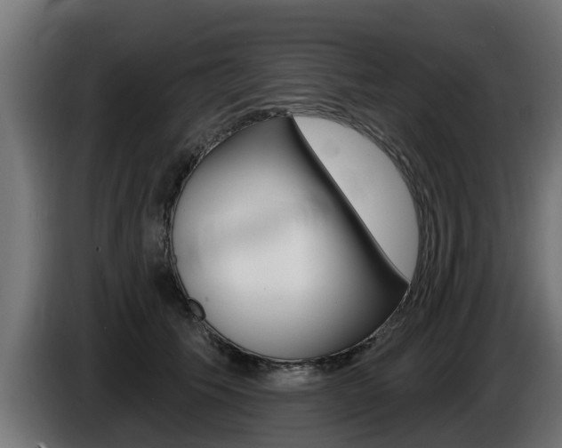 X0000086730609200704130748