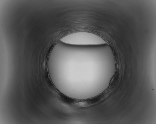 X0000086730610200704130748