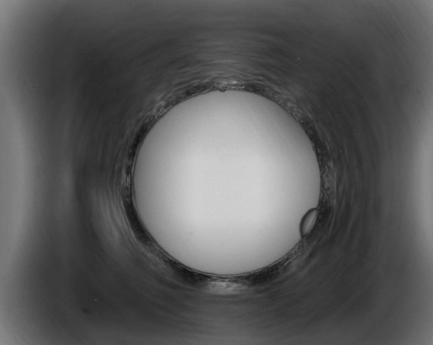 X0000086730614200704130748
