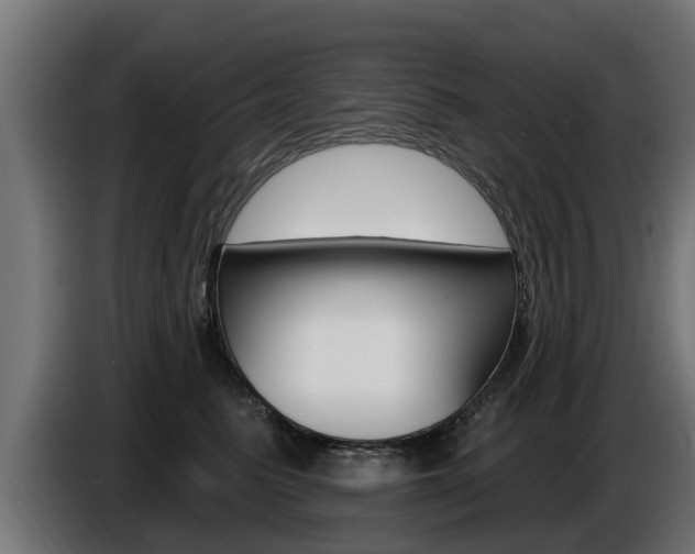 X0000086730615200704130748