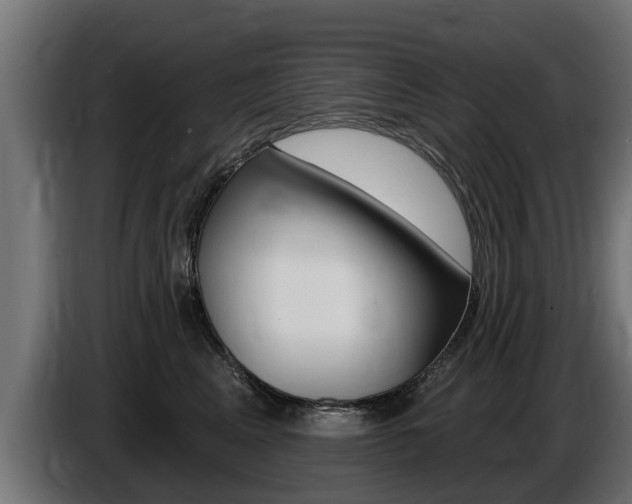 X0000086730617200704130748